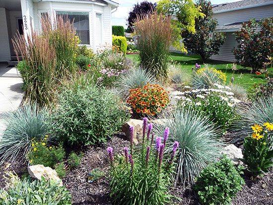 Dan Johnsons High And Low Desert Gardens Finegardening