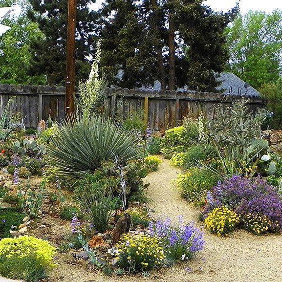 Xeriscape Landscaping