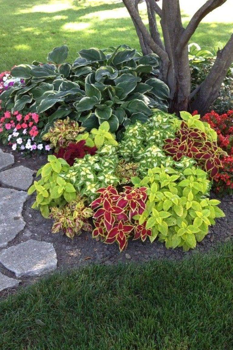 Rockology Utah Xeriscape Landscape