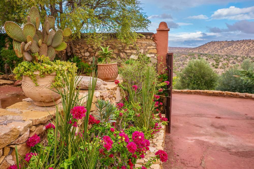 Utah Native Garden Google Search