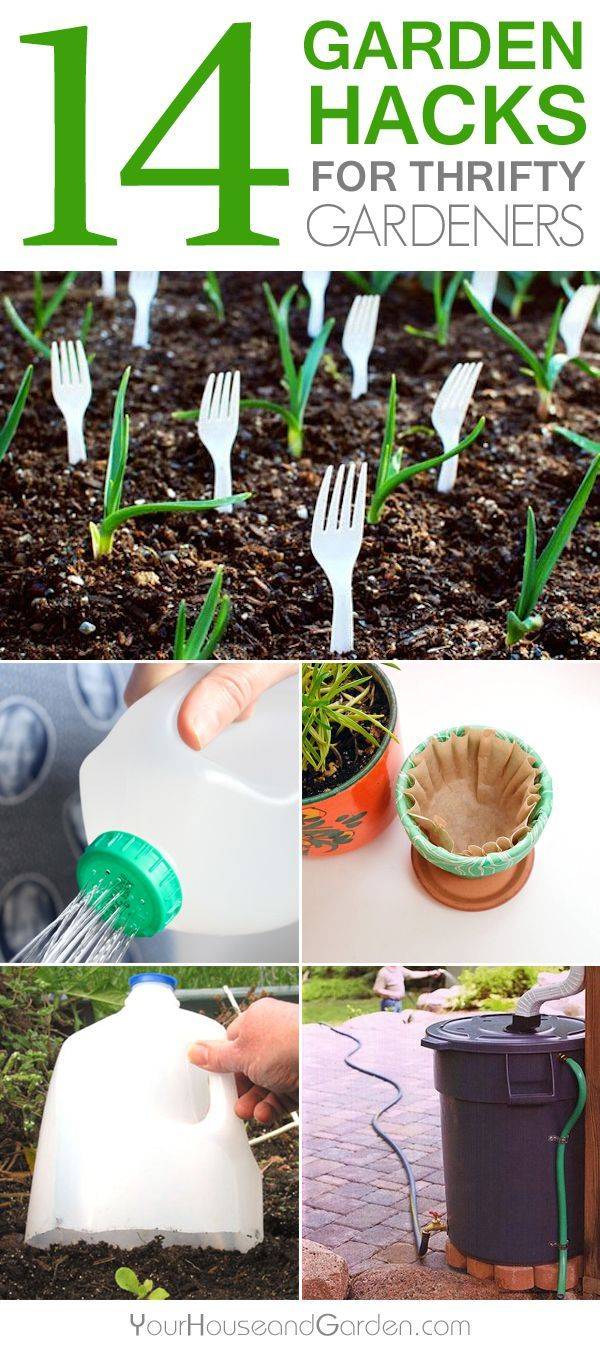 Gardening Hacks Ideas Pinterest Gardening