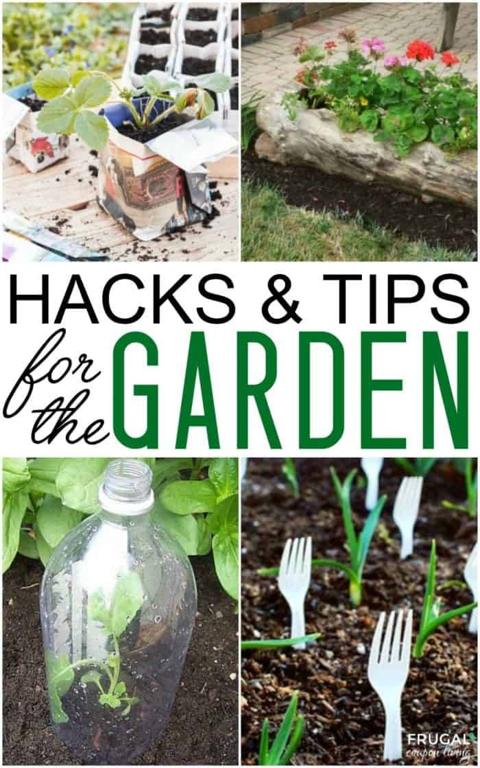 Wild Gardening Hacks