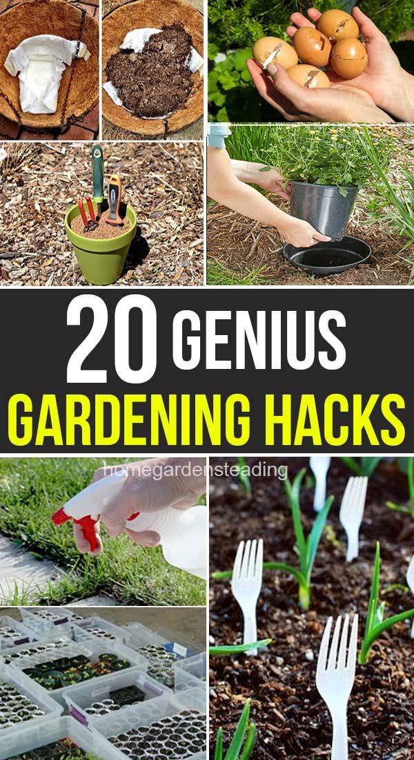 Brilliant Diy Gardening Hacks You Wish You Knew Early On In
