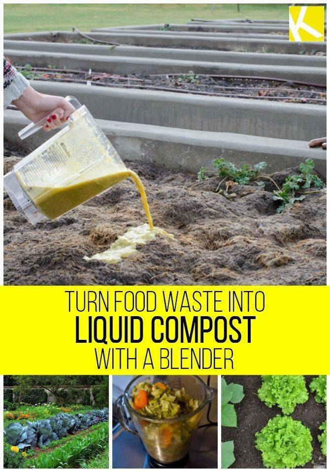 Creative Garden Hacks