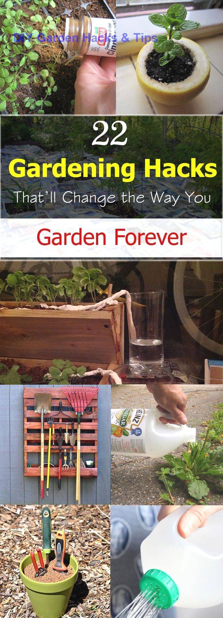 Creative Garden Hacks