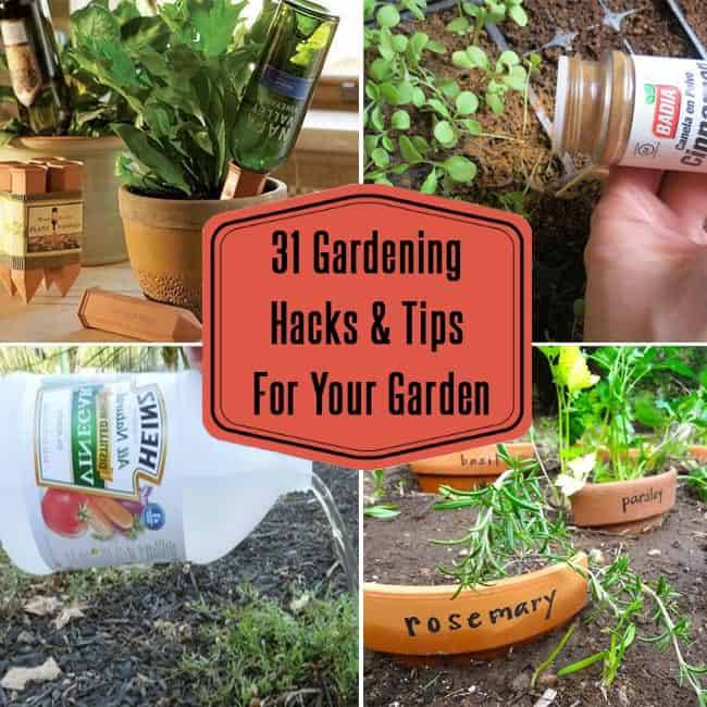 Creative Garden Hacks