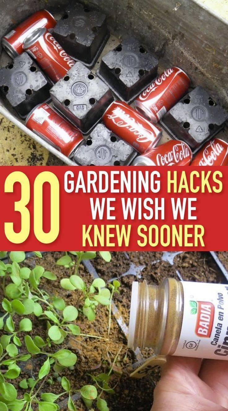 Magnificent Garden Tool Ideas Ideas