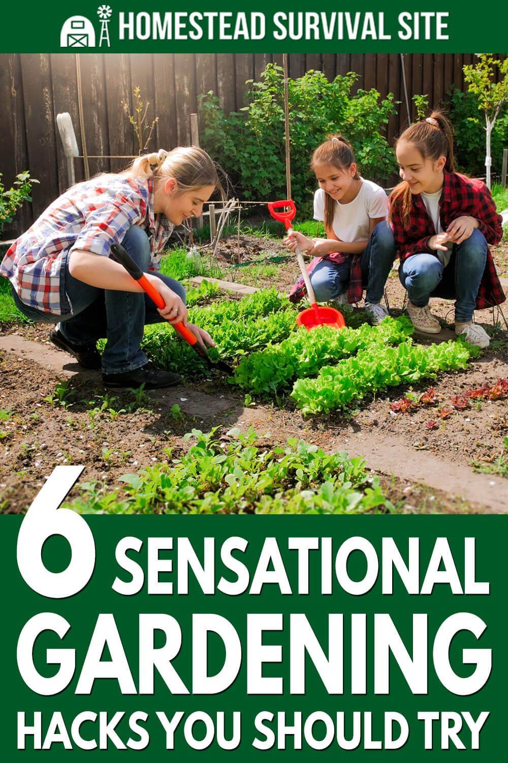Best Gardening Hacks
