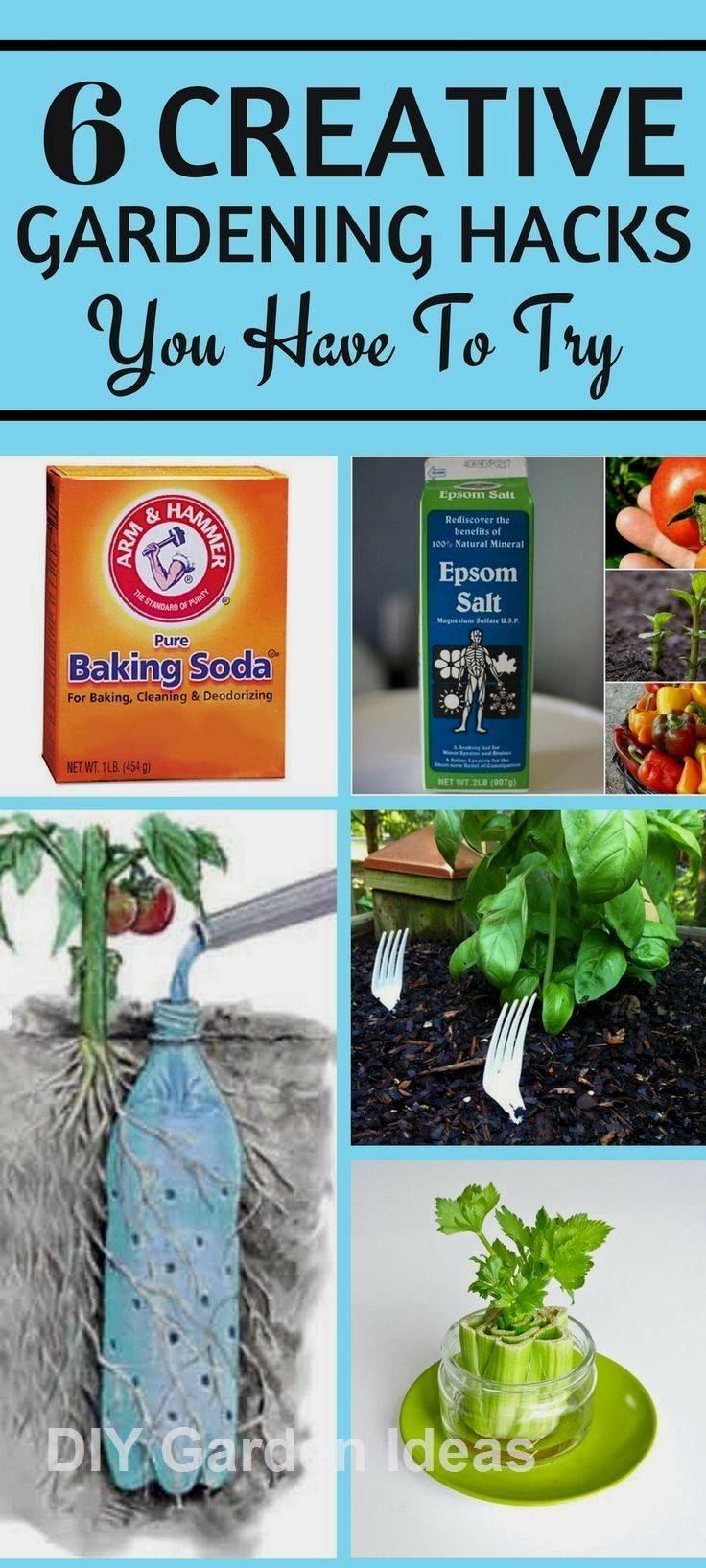 Container Gardening