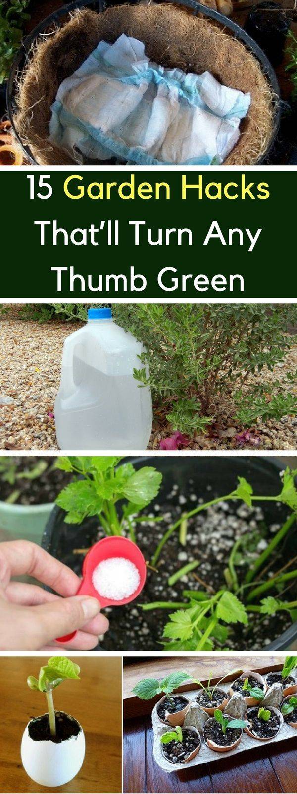 Awesome Gardening Hacks