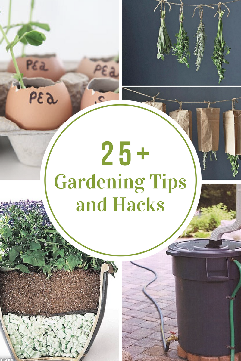 Creative Garden Hacks