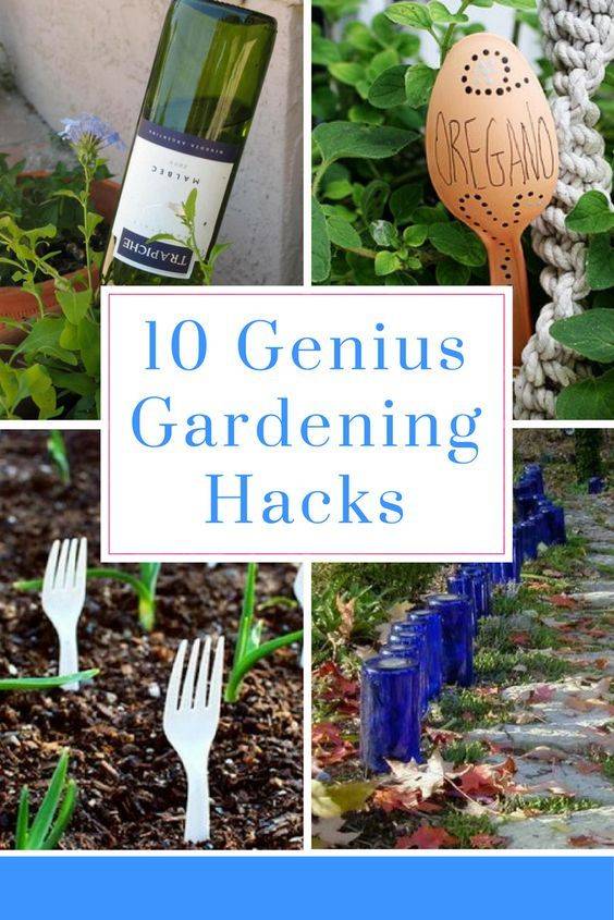 Creative Garden Hacks