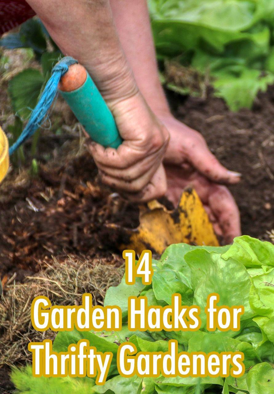 Creative Garden Hacks