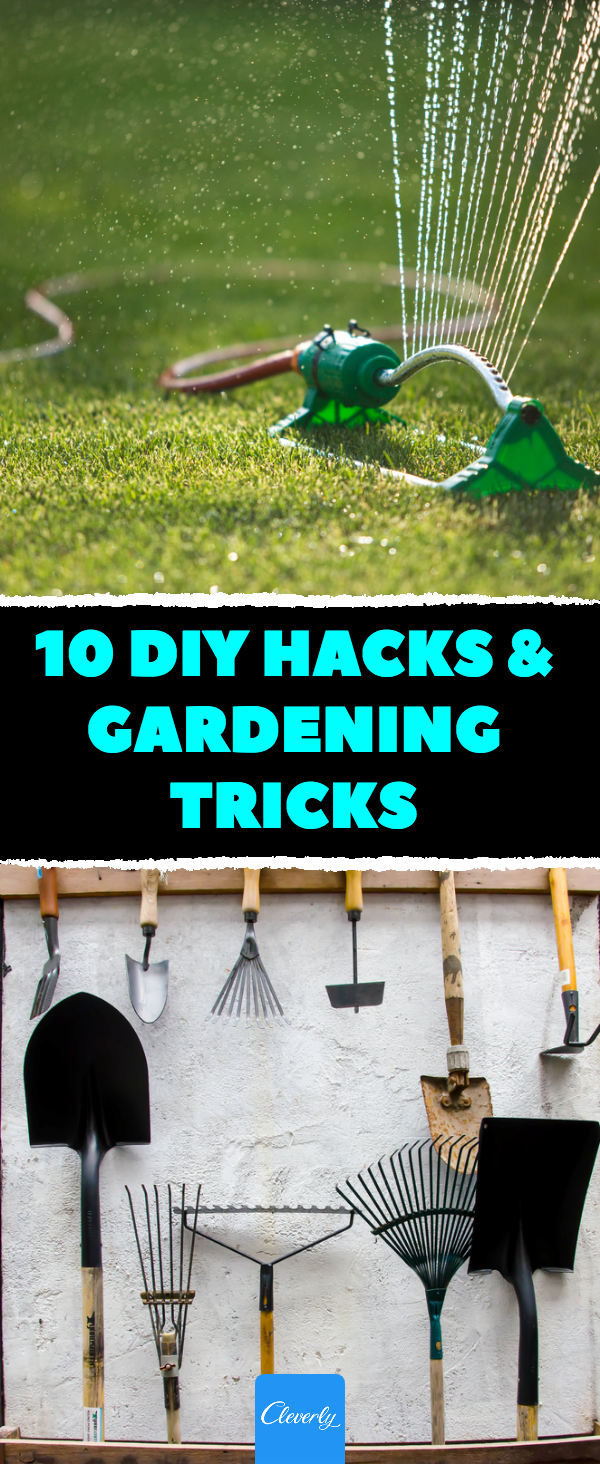 Creative Garden Hacks