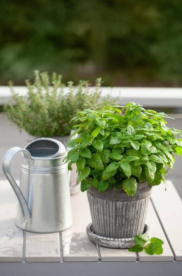 Fabulous Diy Herb Garden Ideas