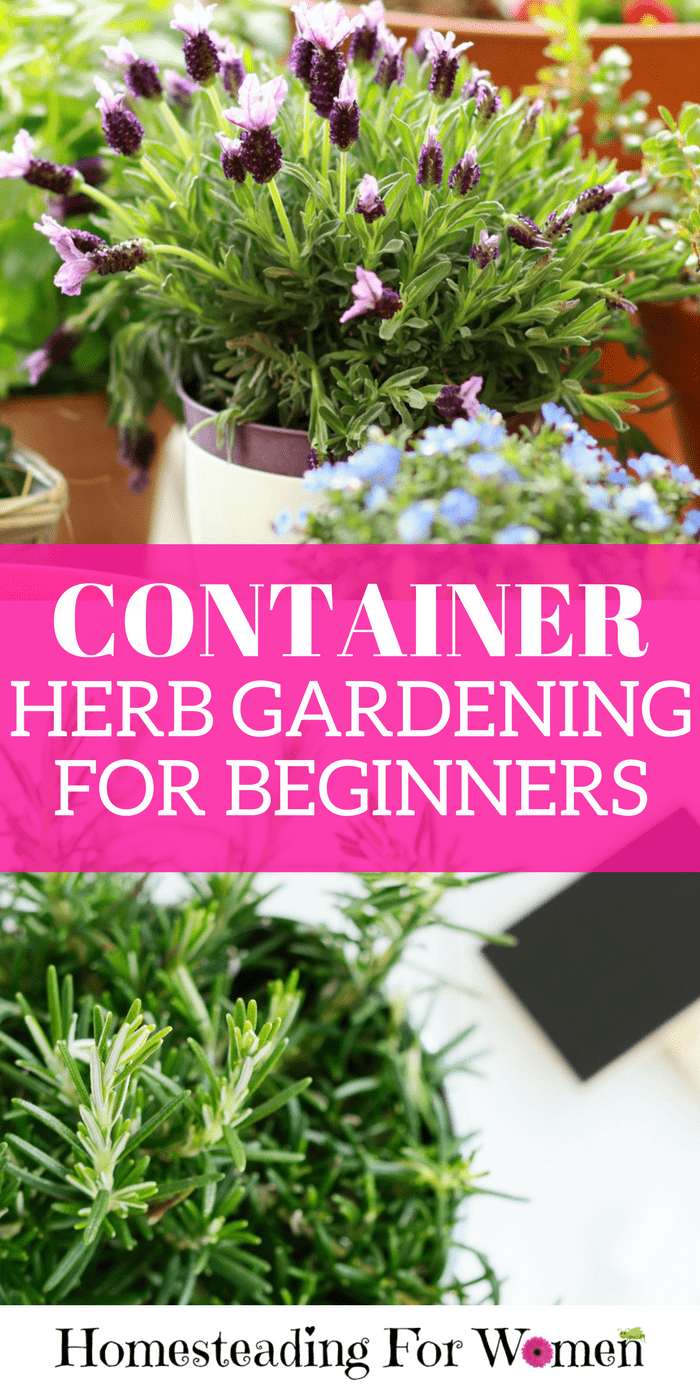 Balcony Herb Garden Ideas