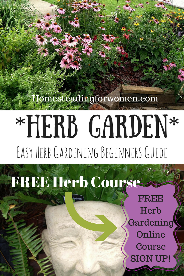 Outdoor Herb Garden