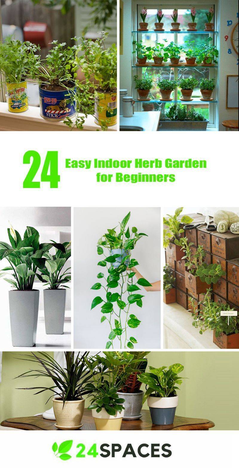 25 Outdoor Herb Garden for Beginners Ideas To Consider SharonSable