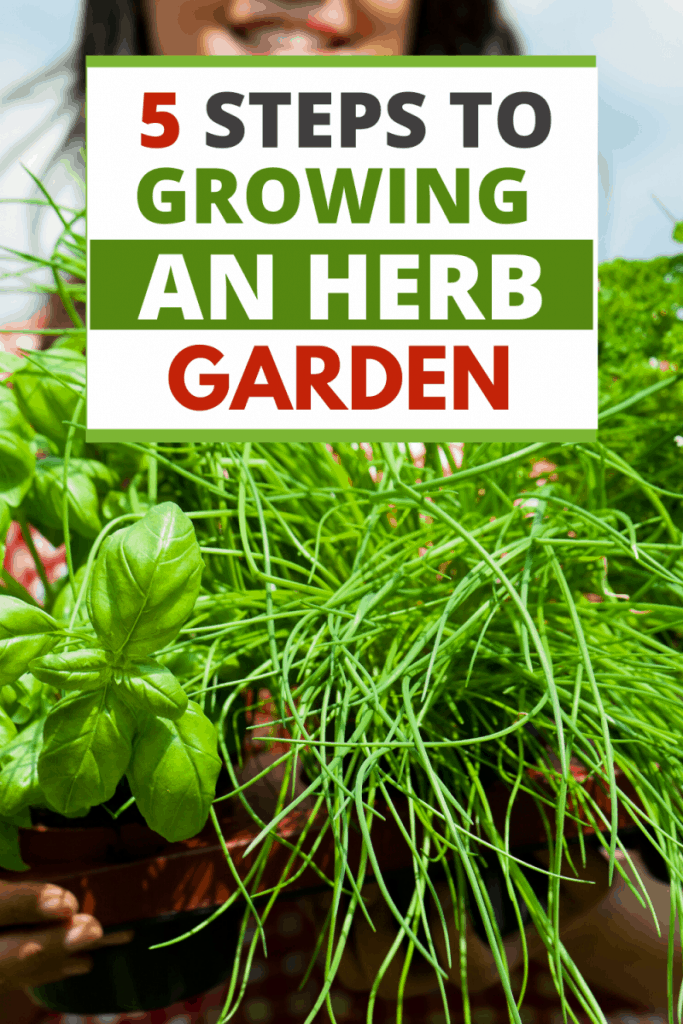 Easy Herb Gardening Beginners
