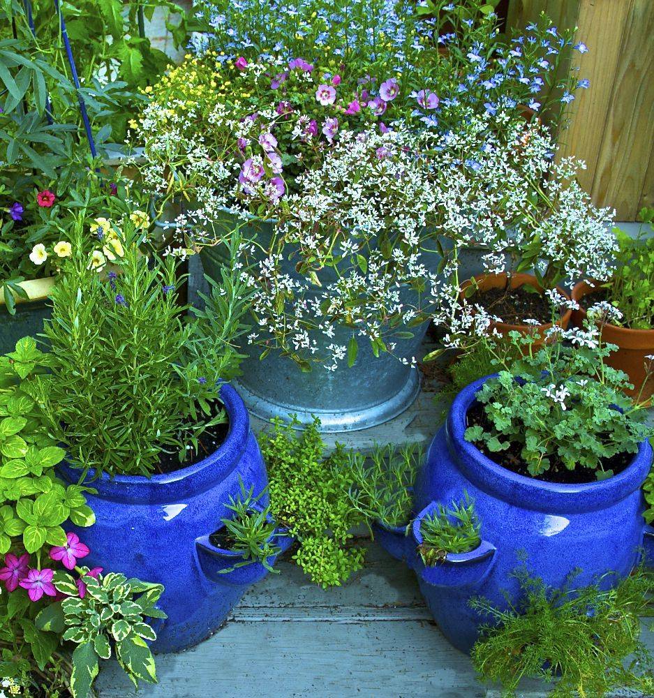 Indoor Herb Garden