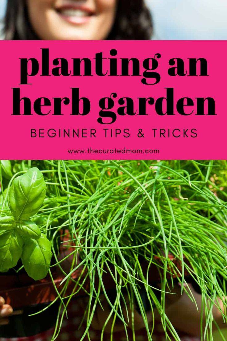A Simple Herb Garden