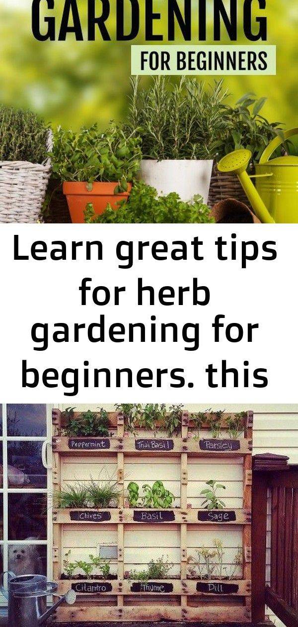 An Herb Garden