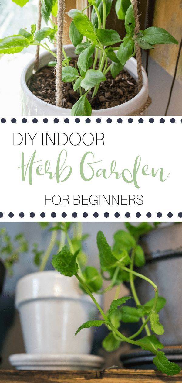 An Herb Garden