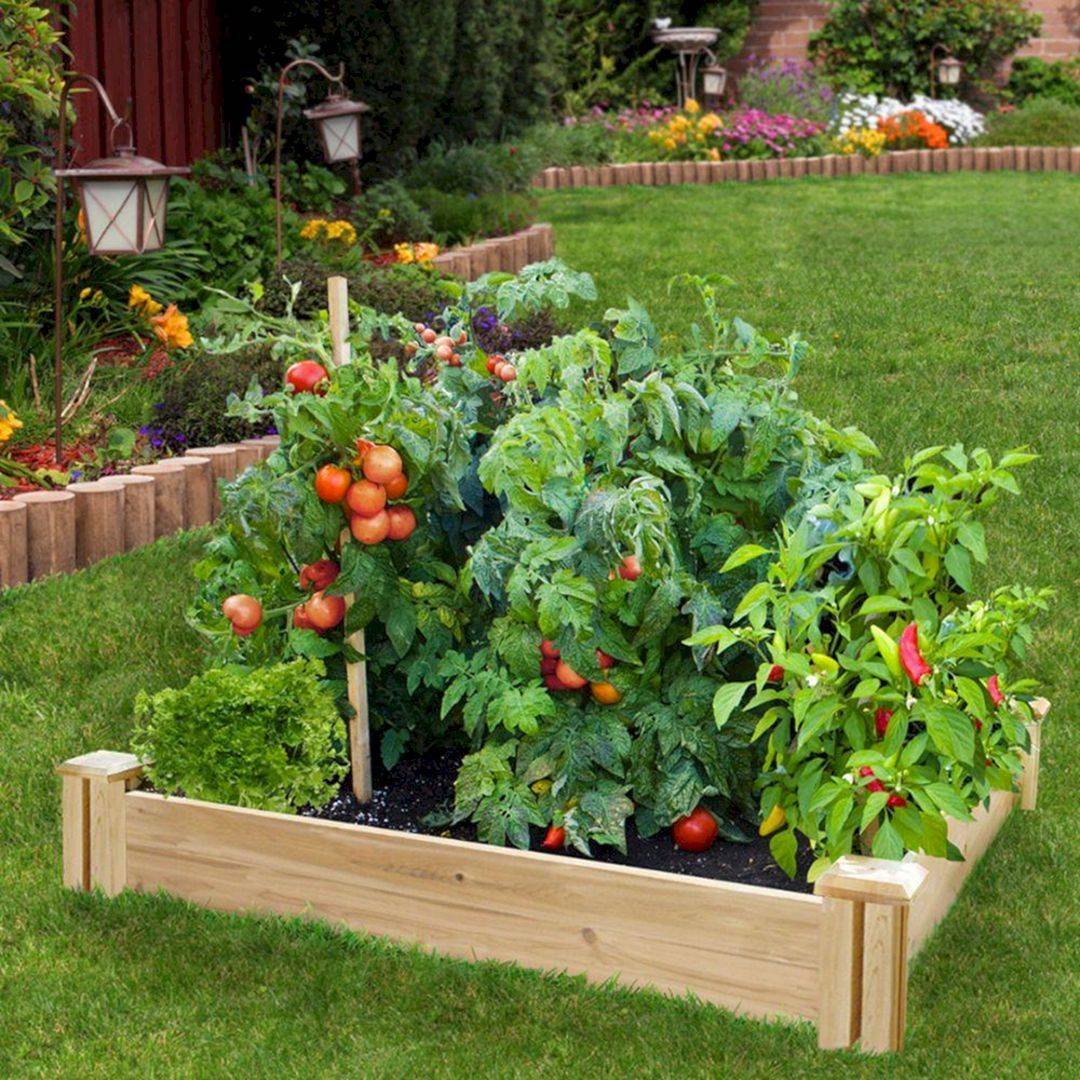 Beautiful Fruit And Vegetable Garden Ideas