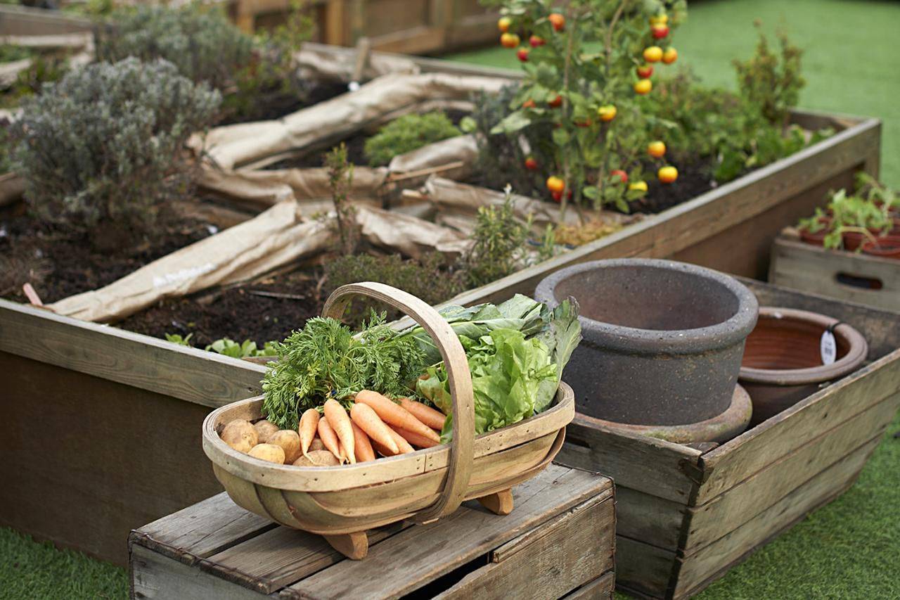 Clever Diy Raised Garden Bed Ideas