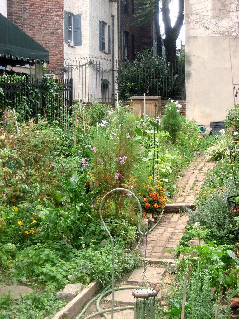 Easy And Efficient Urban Gardening Ideas Gardner Resource