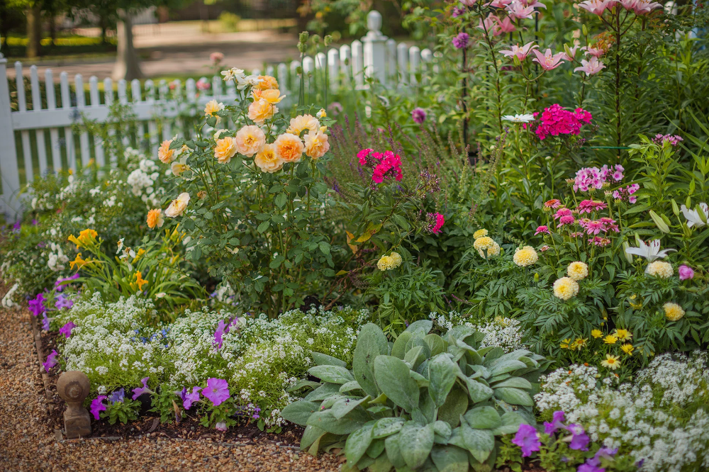 Container Garden Ideas