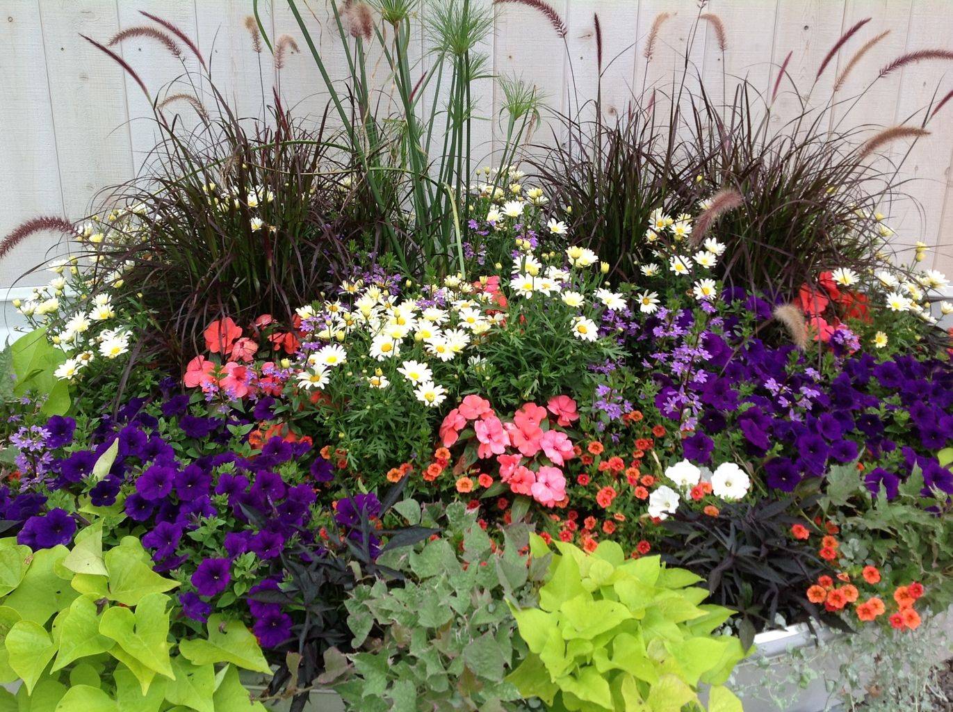 Fresh And Beautiful Summer Container Garden Flowers Ideas