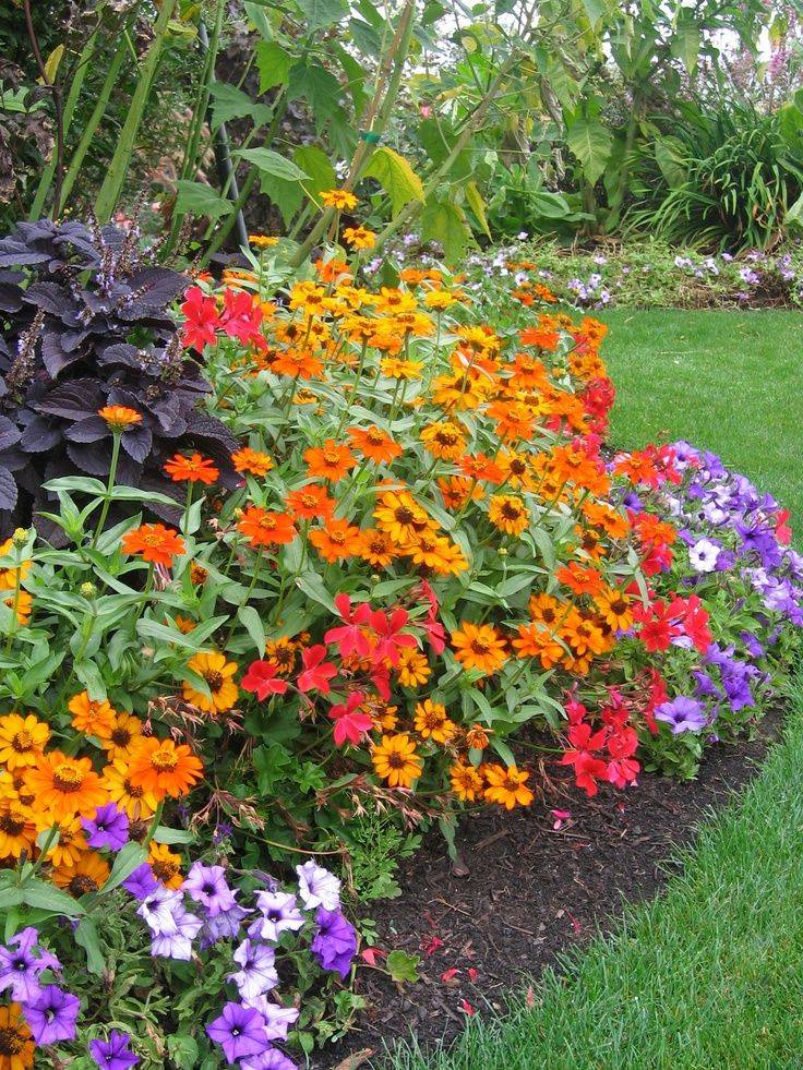 Annual Flower Bed Designs