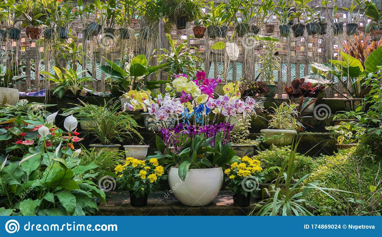 Flower Gardenpanorama Interlude Tours