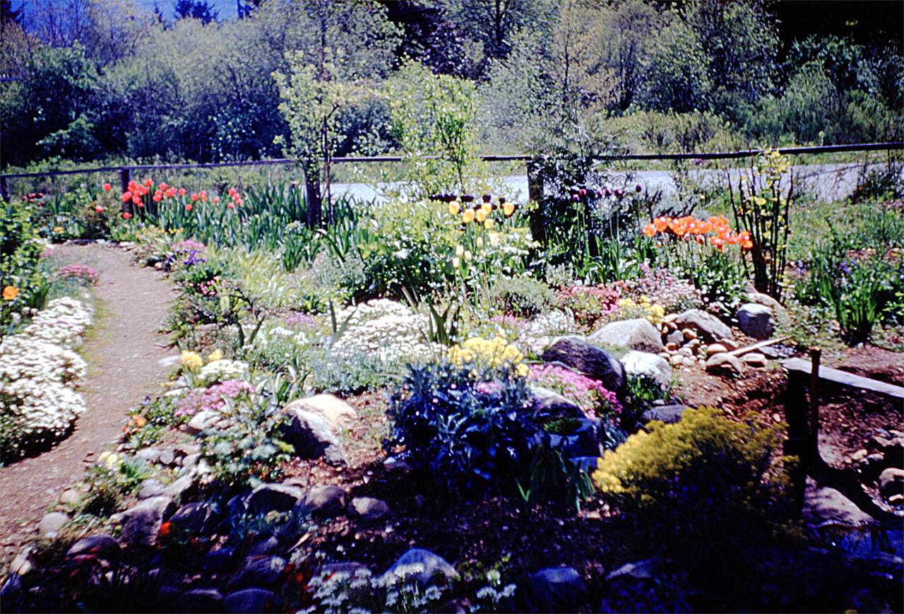 The Garden Stock Image