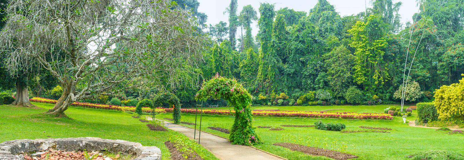 A Stunning Backyard Panorama