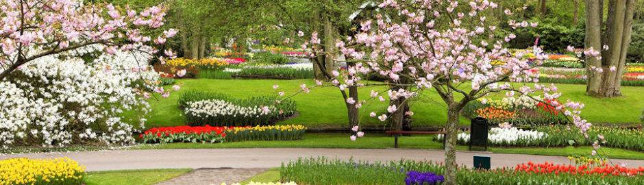 Panoramic Flower Gardens Shikisainooka Biei Hokkaido Japan