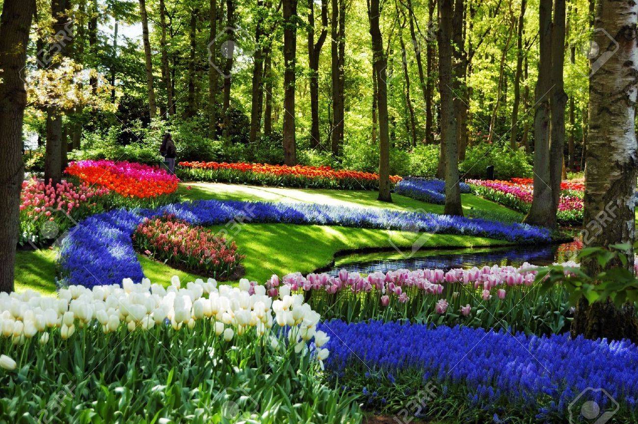 Dreamstime Stock Photos