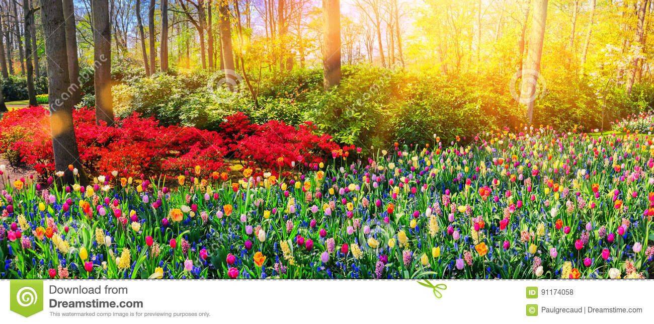 Summer Flower Garden Wallpaper Wallpapersafari