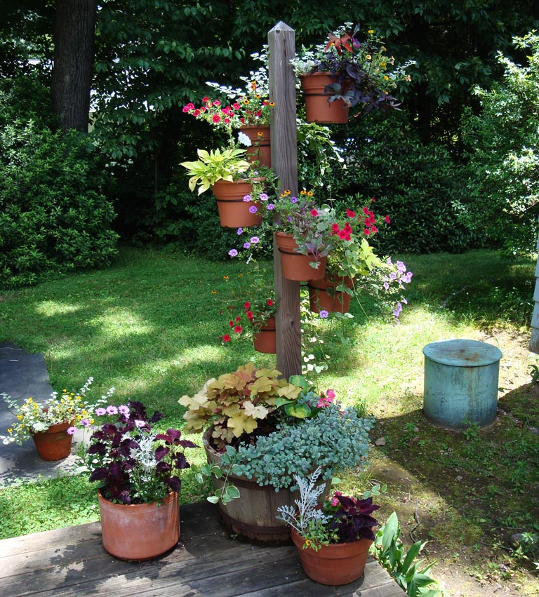 Diy Container Garden Ideas
