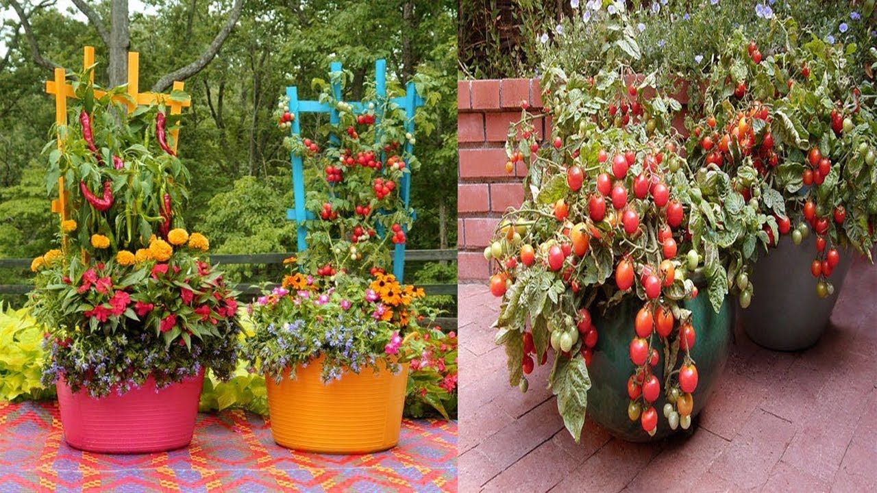 Container Gardening Ideas Quiet Corner