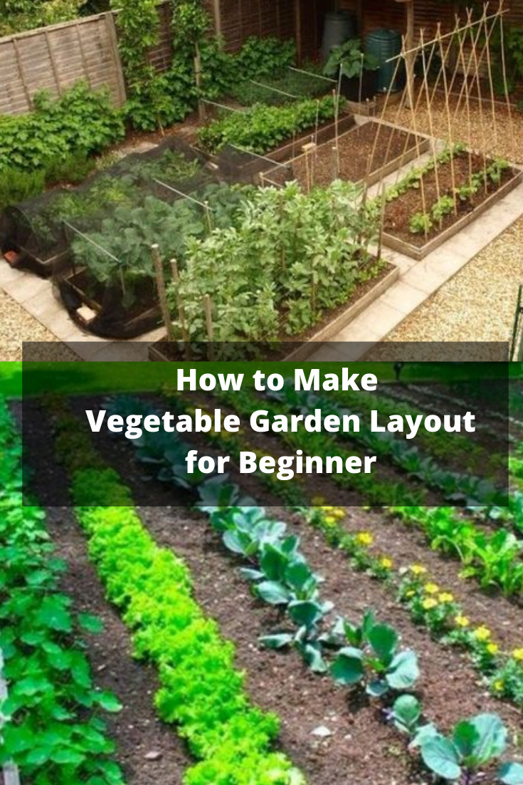 Inspiring Veggies Garden Layout