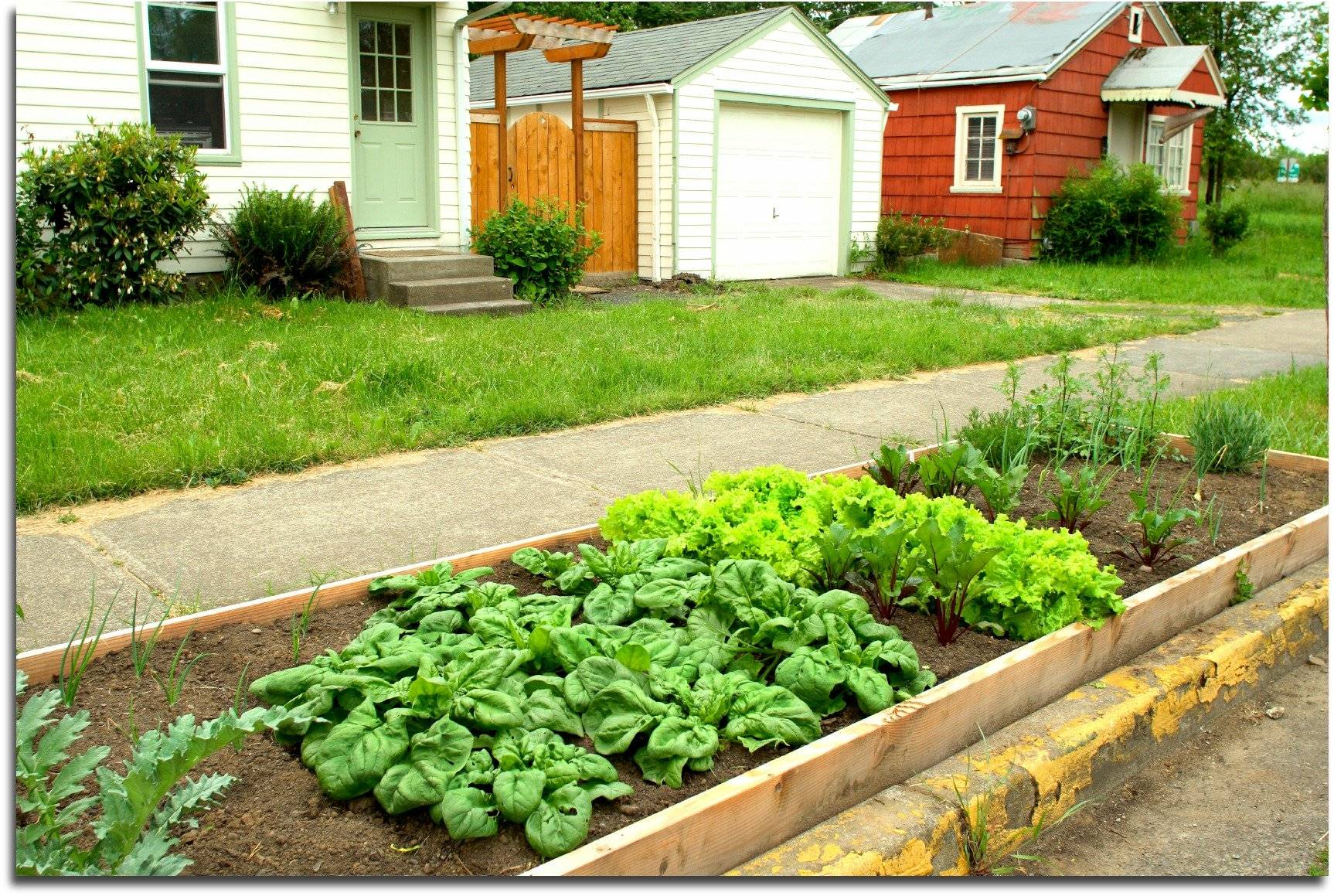 Awesome Diy Vegetable Garden