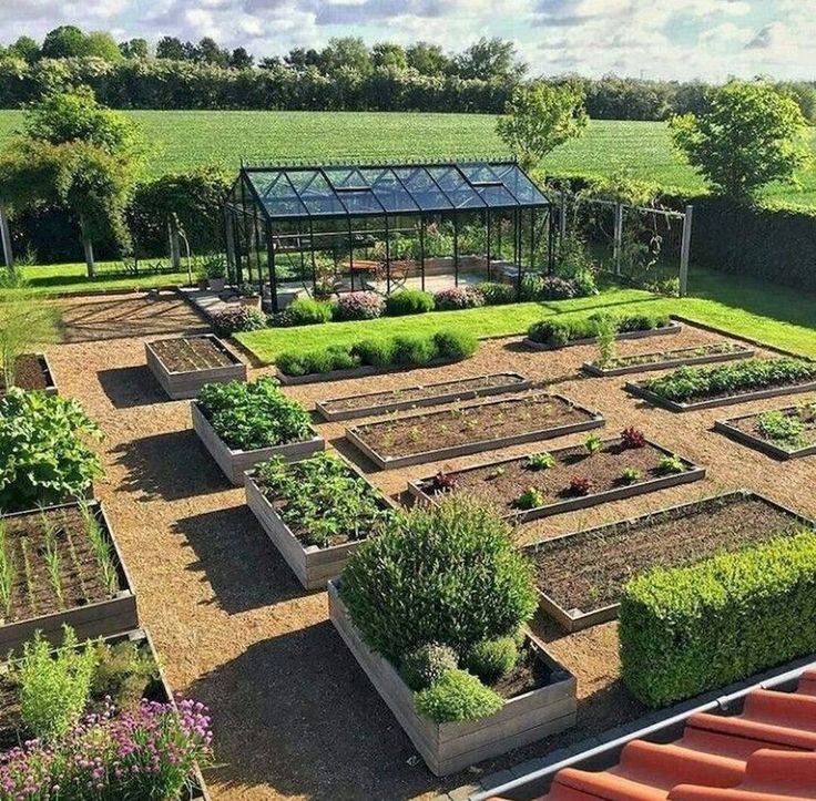 Easy Vegetable Garden Layout Ideas