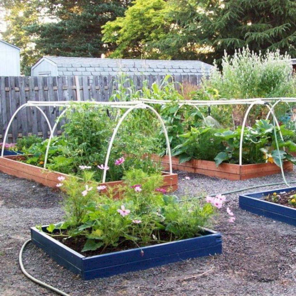 Urban Vegetable Garden Google Search