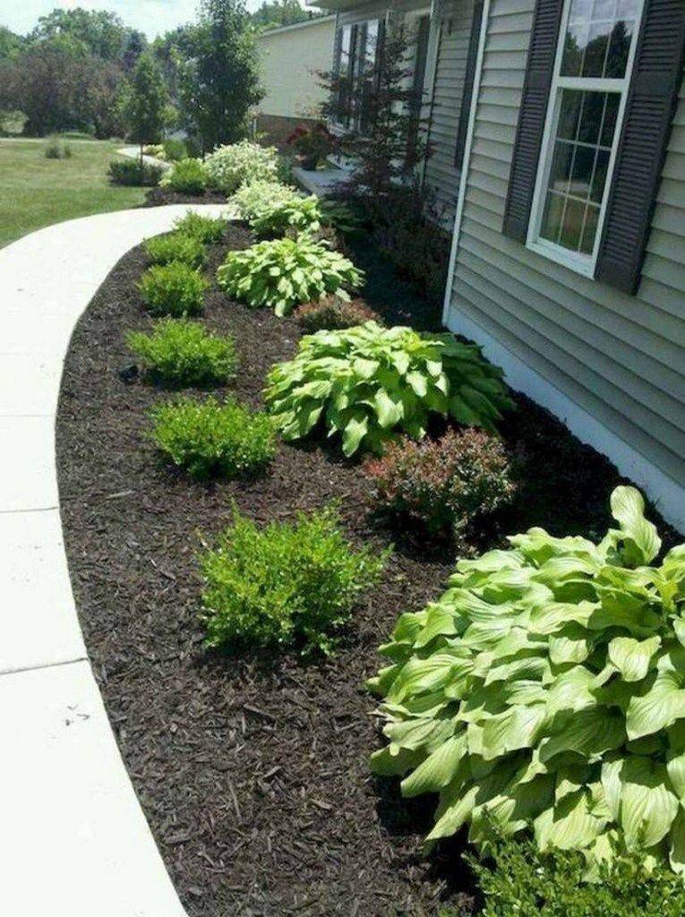 Easy Landscape Design Tips