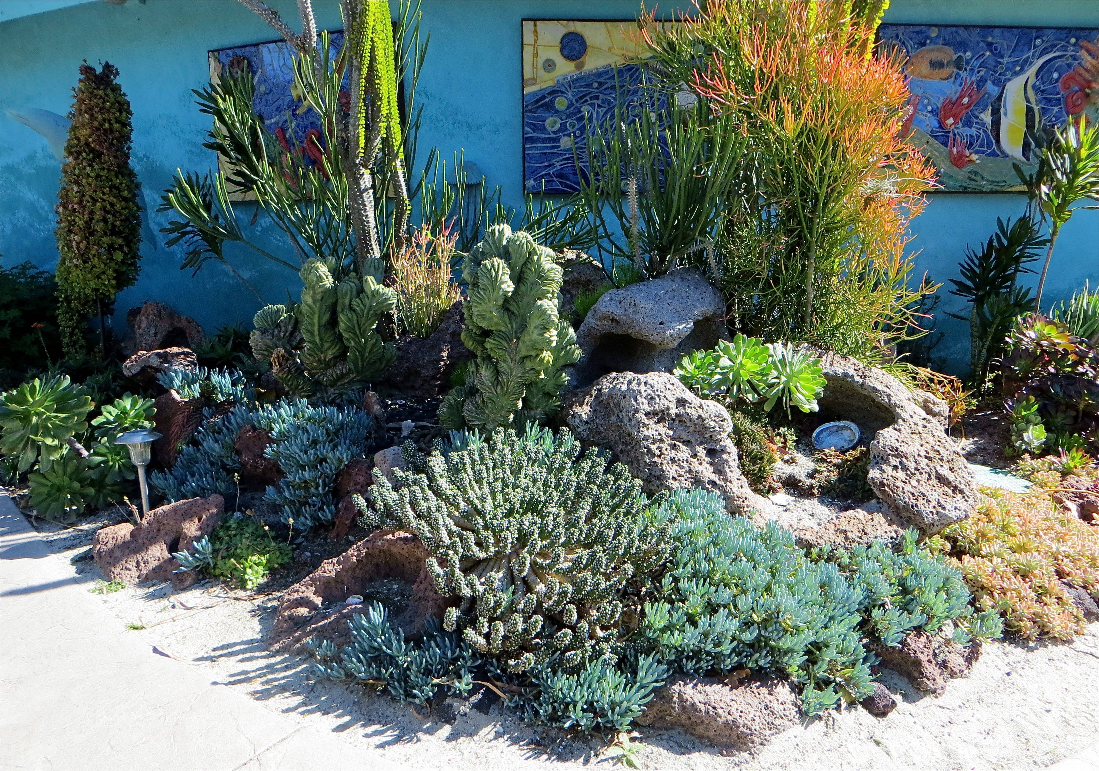 Succulent Garden Ideas Succulents Succulents Garden Colorful