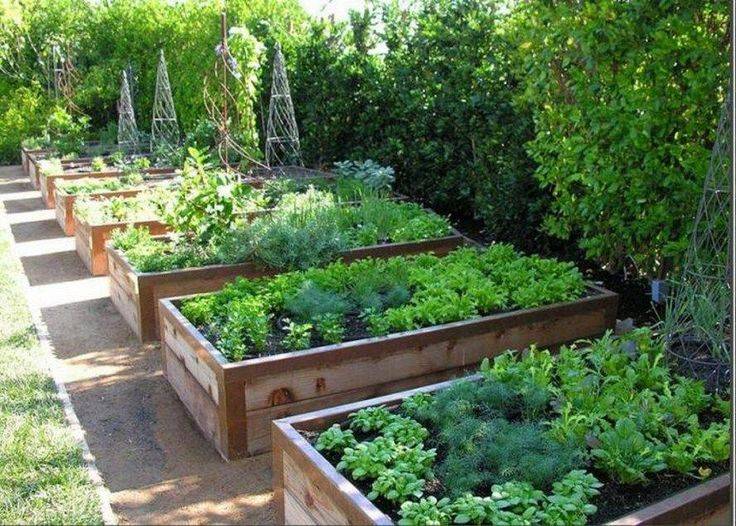 Vegetable Garden Small Spaces Design Ideas