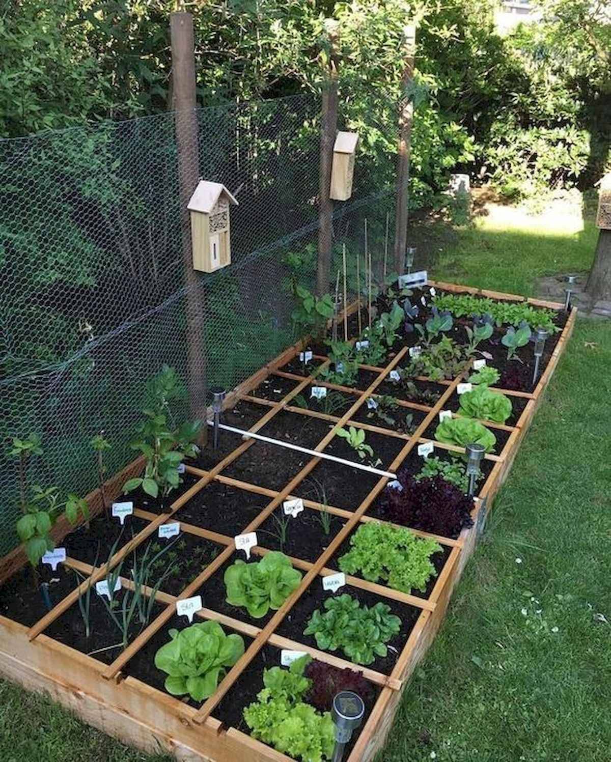 Vegetable Garden Small Spaces Design Ideas