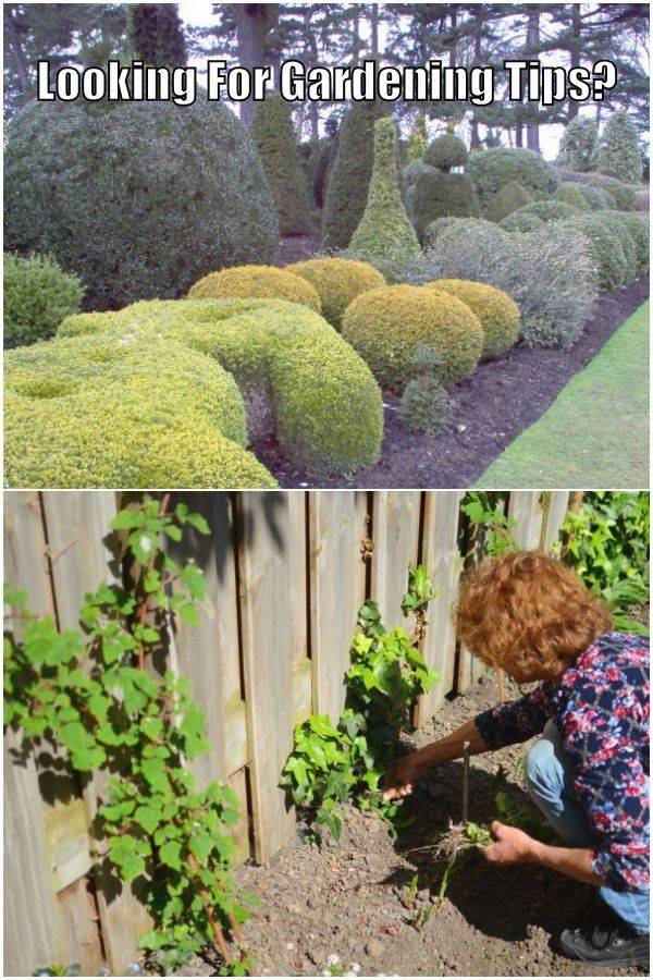 Beginners Timeline Ideas